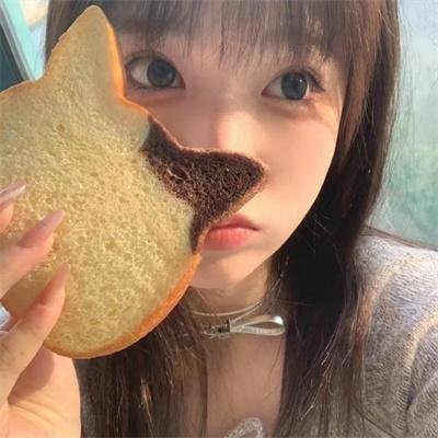 职业大贼